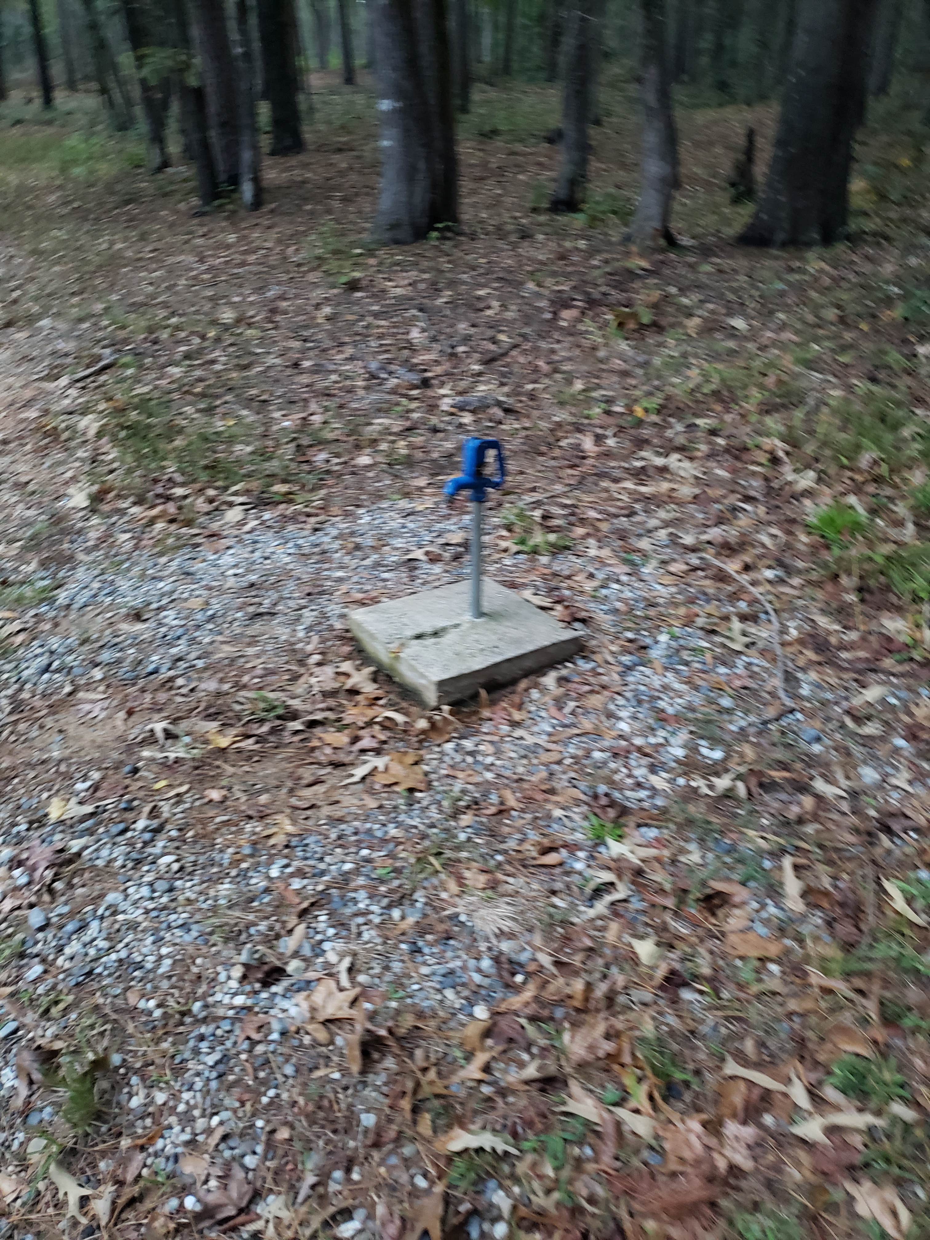 Camper submitted image from Bear Creek - 5