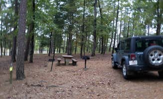 Dexter I.'s photo at Bear Creek near Kirby, AR