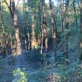 Review photo of Wilderness Road Campground by Jeff W., October 21, 2021