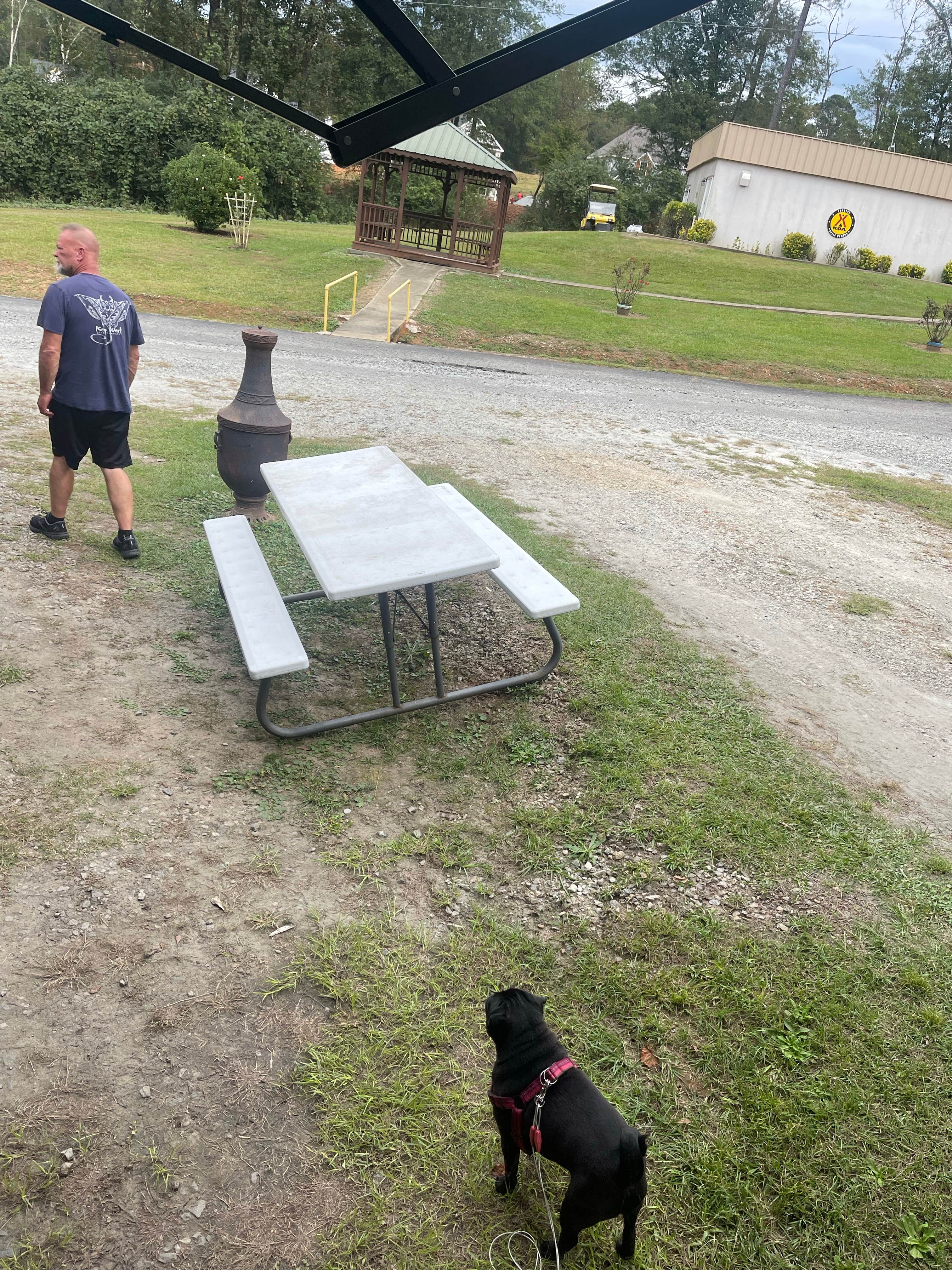 Janice M.'s photo of camping with pets at Forsyth KOA near Lovejoy, GA