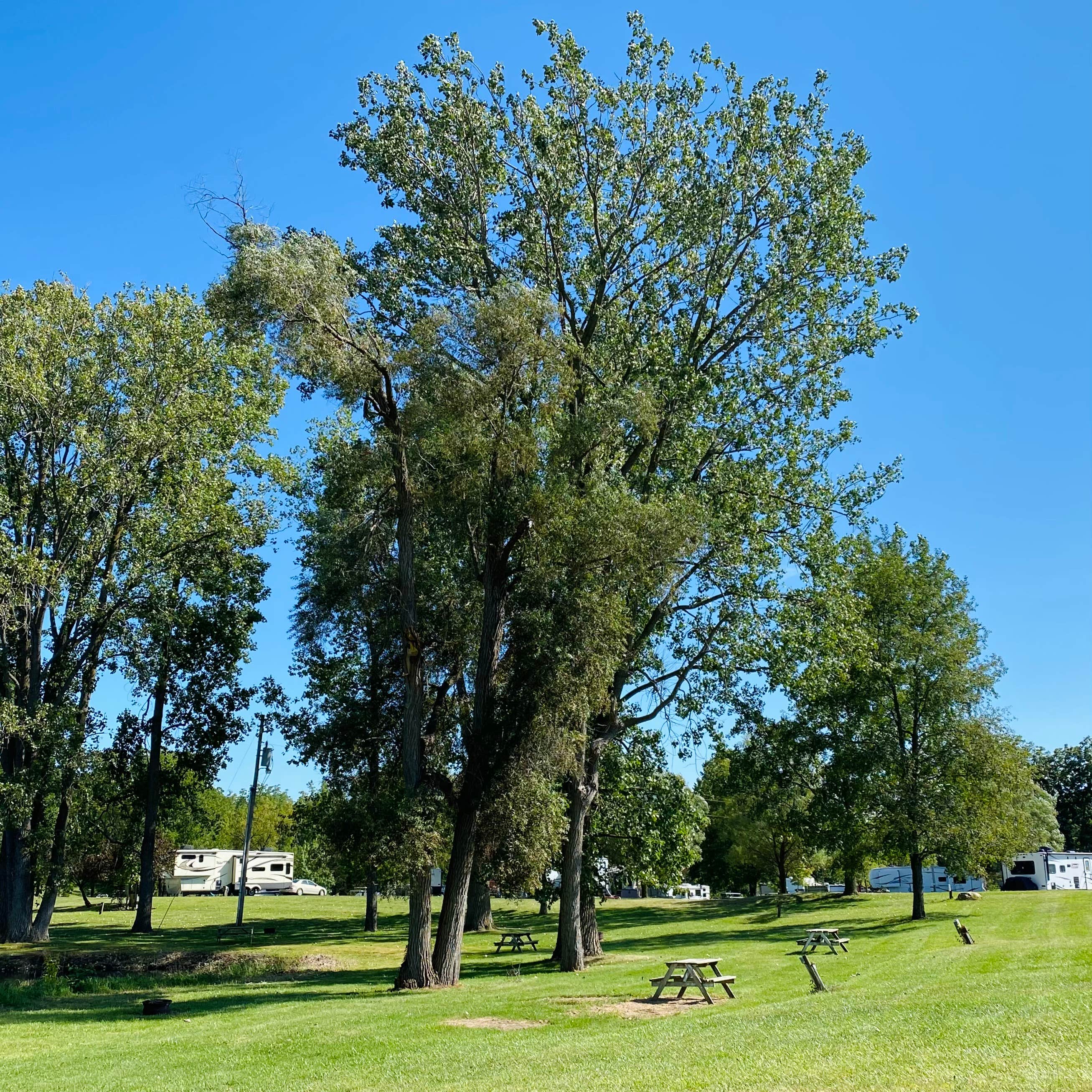 Camper-submitted photo at Happy Acres Campground near Hamilton, IN
