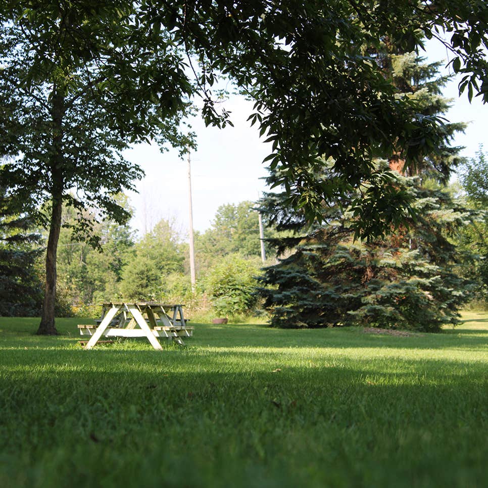 Camper-submitted photo at Happy Acres Campground near Hamilton, IN