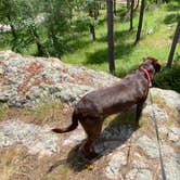 Review photo of Stockade Lake S - Custer State Park by Greg B., October 21, 2021