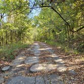 Review photo of Greenleaf State Park Campground by Jordan N., October 21, 2021