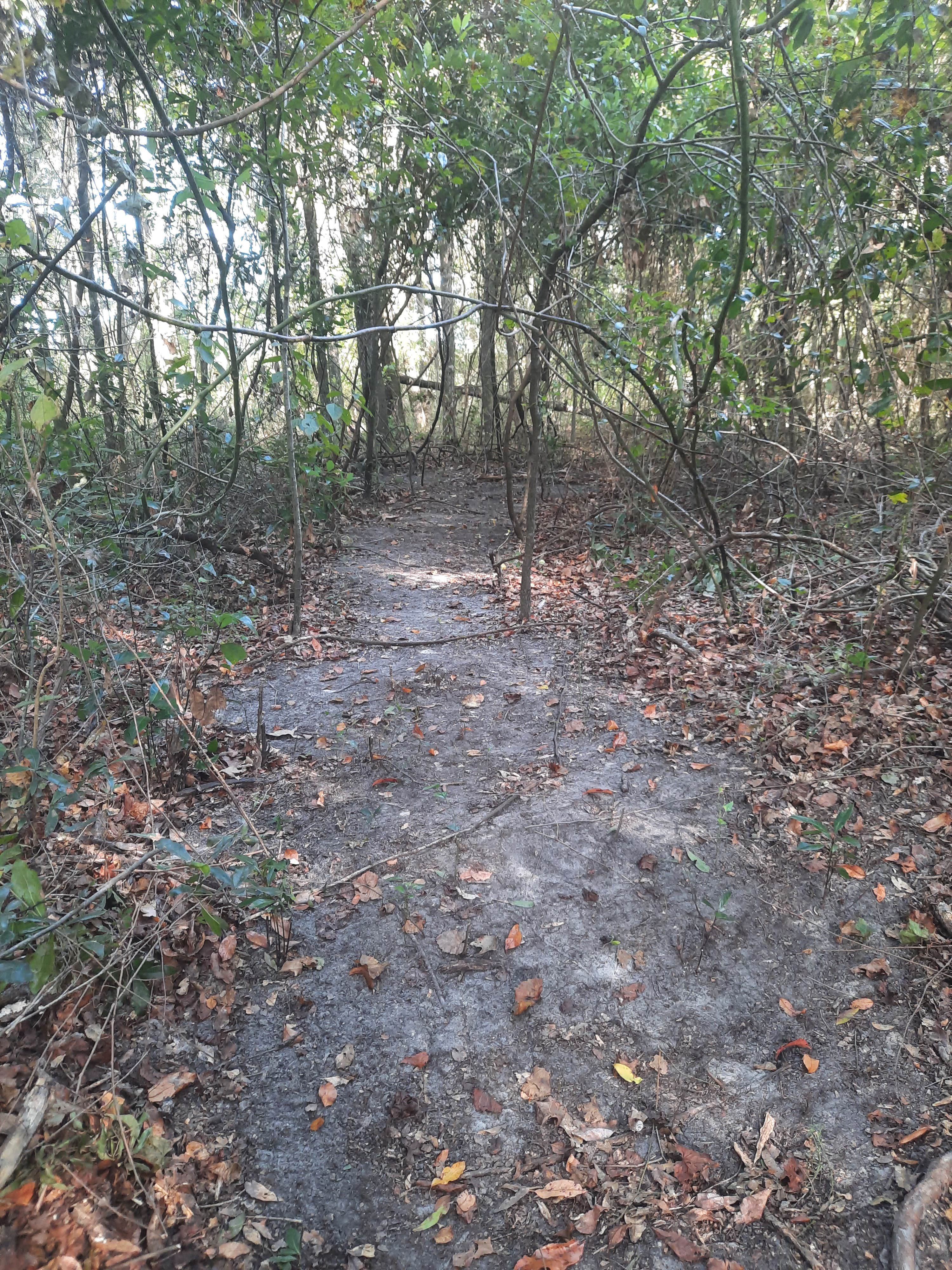 Camping near Faith and Love Farm: Vegout, Cedar Key, Florida