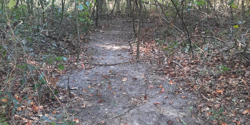 Camper submitted image from Vegout