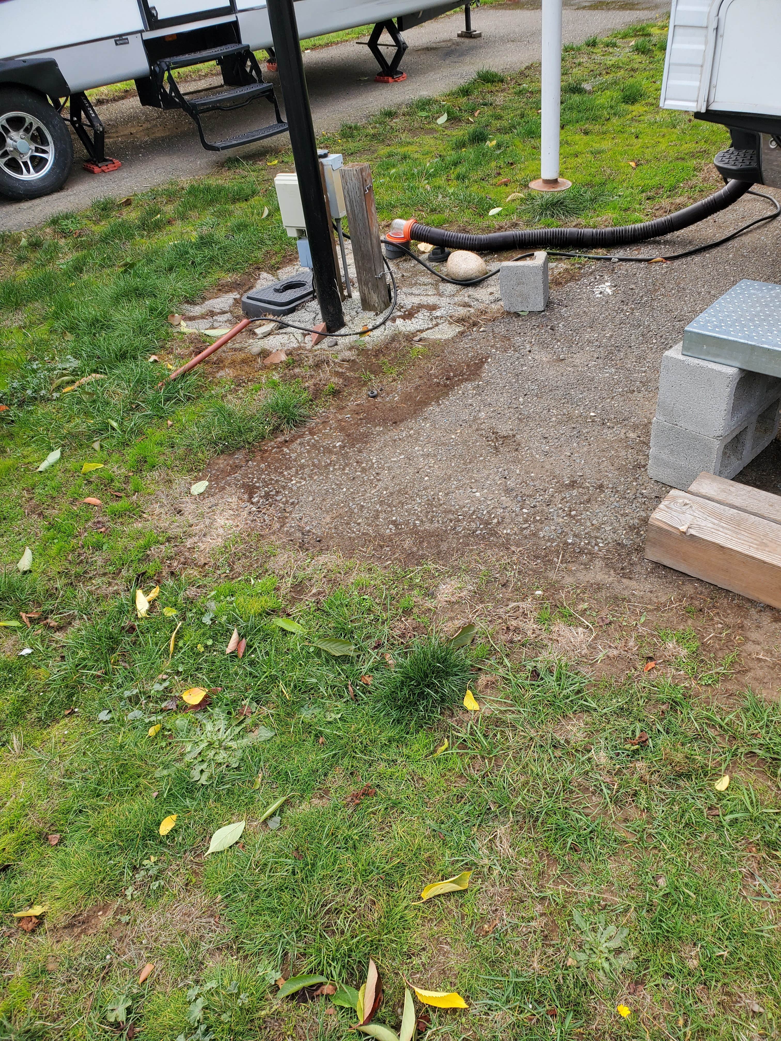 Camper-submitted photo at Sequim West RV Park near Port Angeles, WA