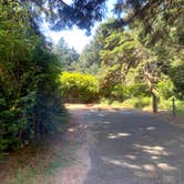Review photo of Cape Blanco State Park Campground by Laura M., October 22, 2021