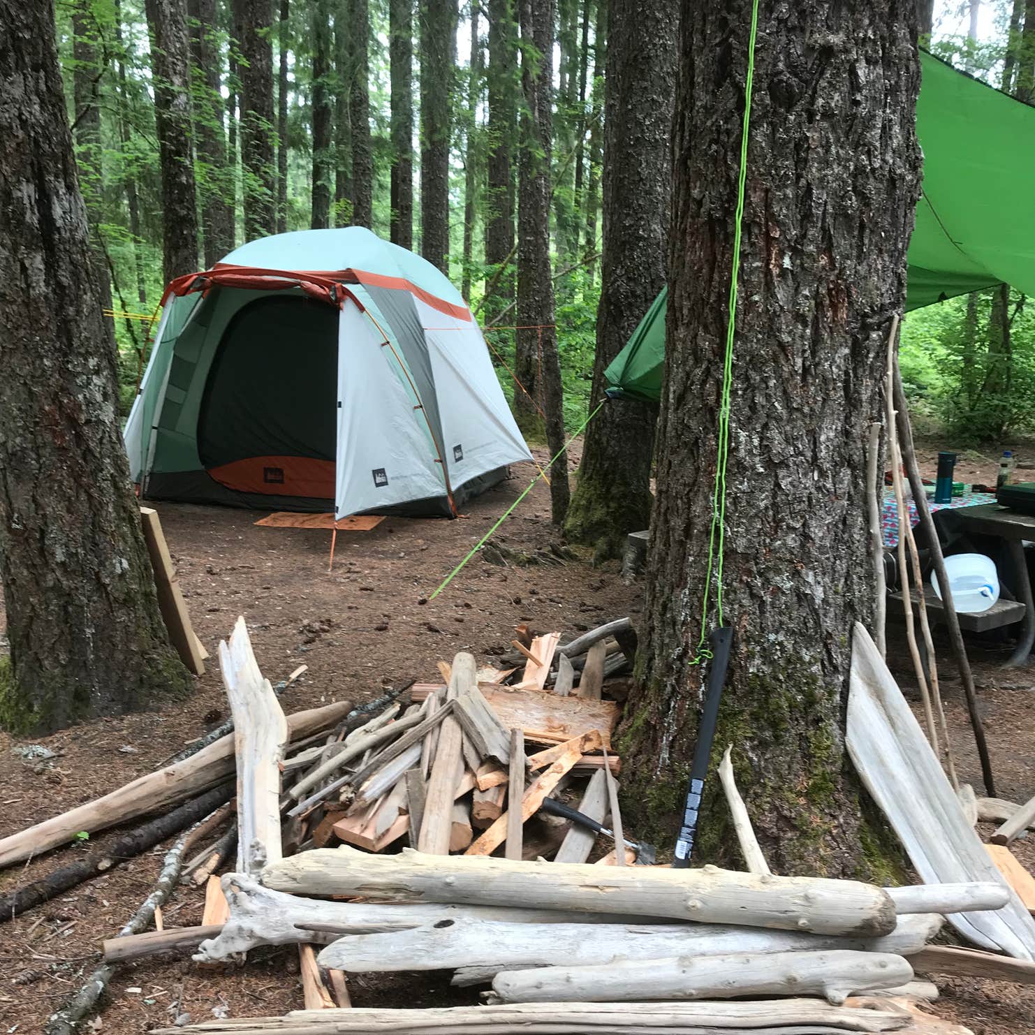 Swift Forest Camp Camping The Dyrt