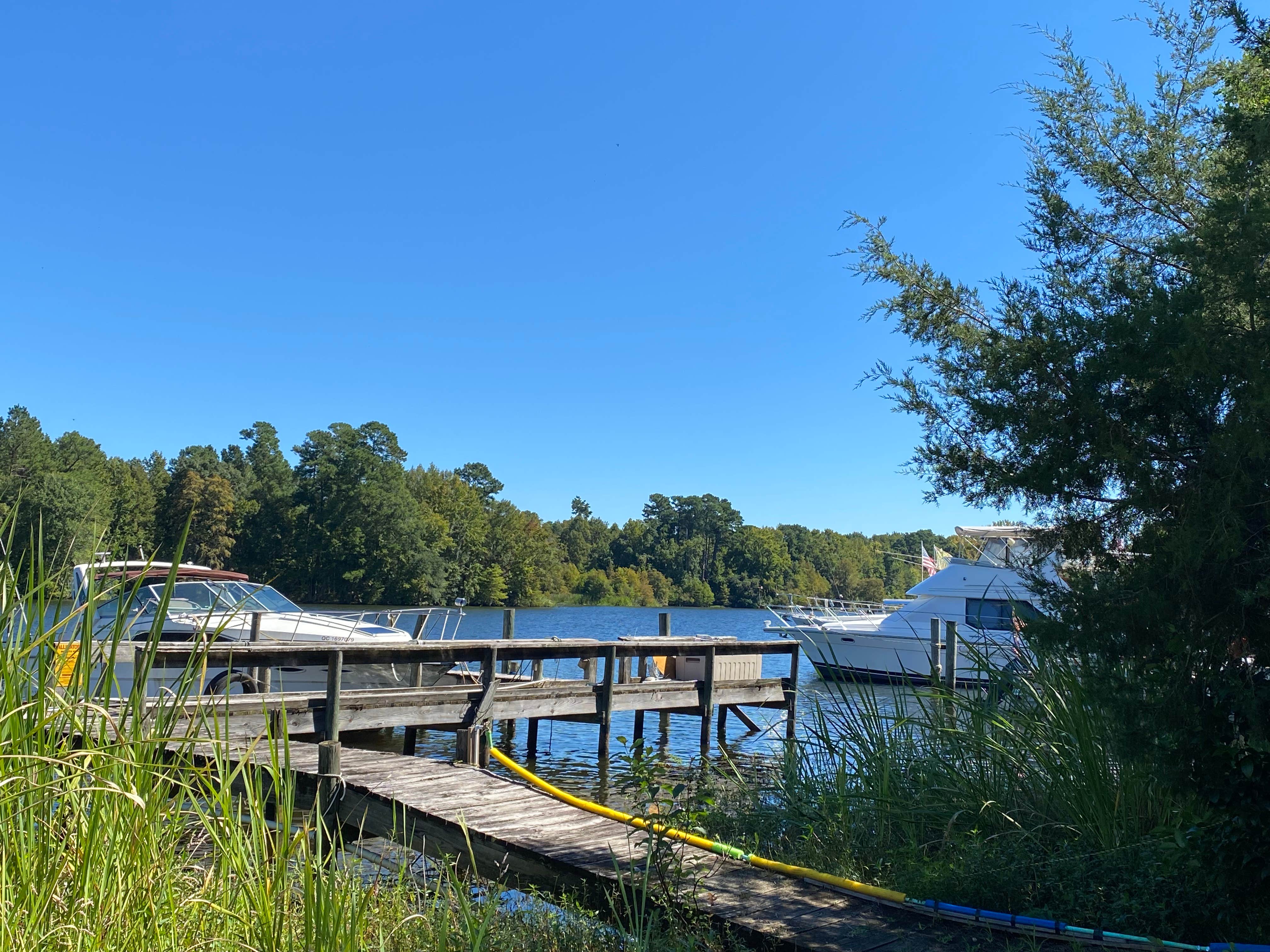 Camper submitted image from Bells Marina & Resort - 4