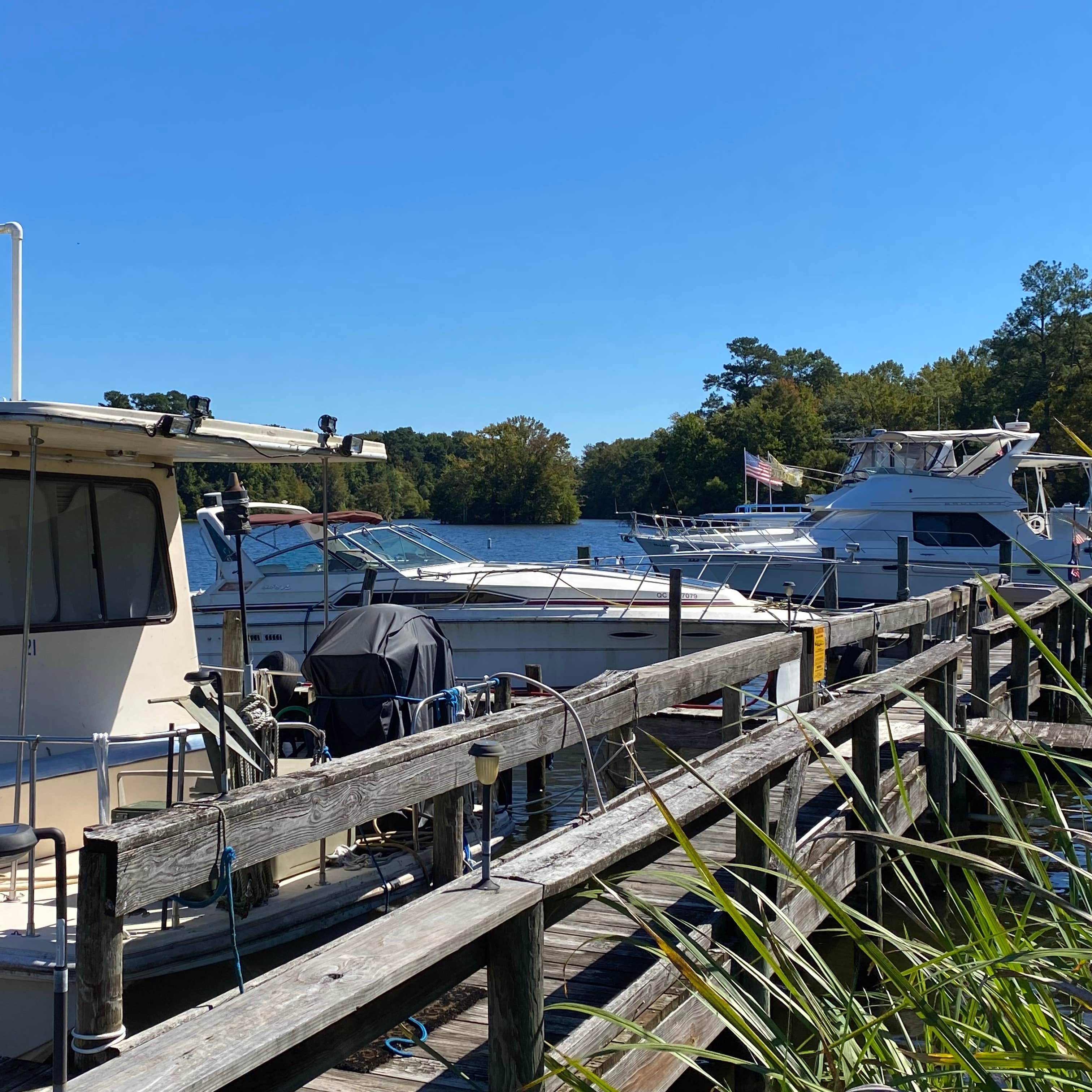 Bell's Marina, Restaurant, Hotel and Campground Camping The Dyrt