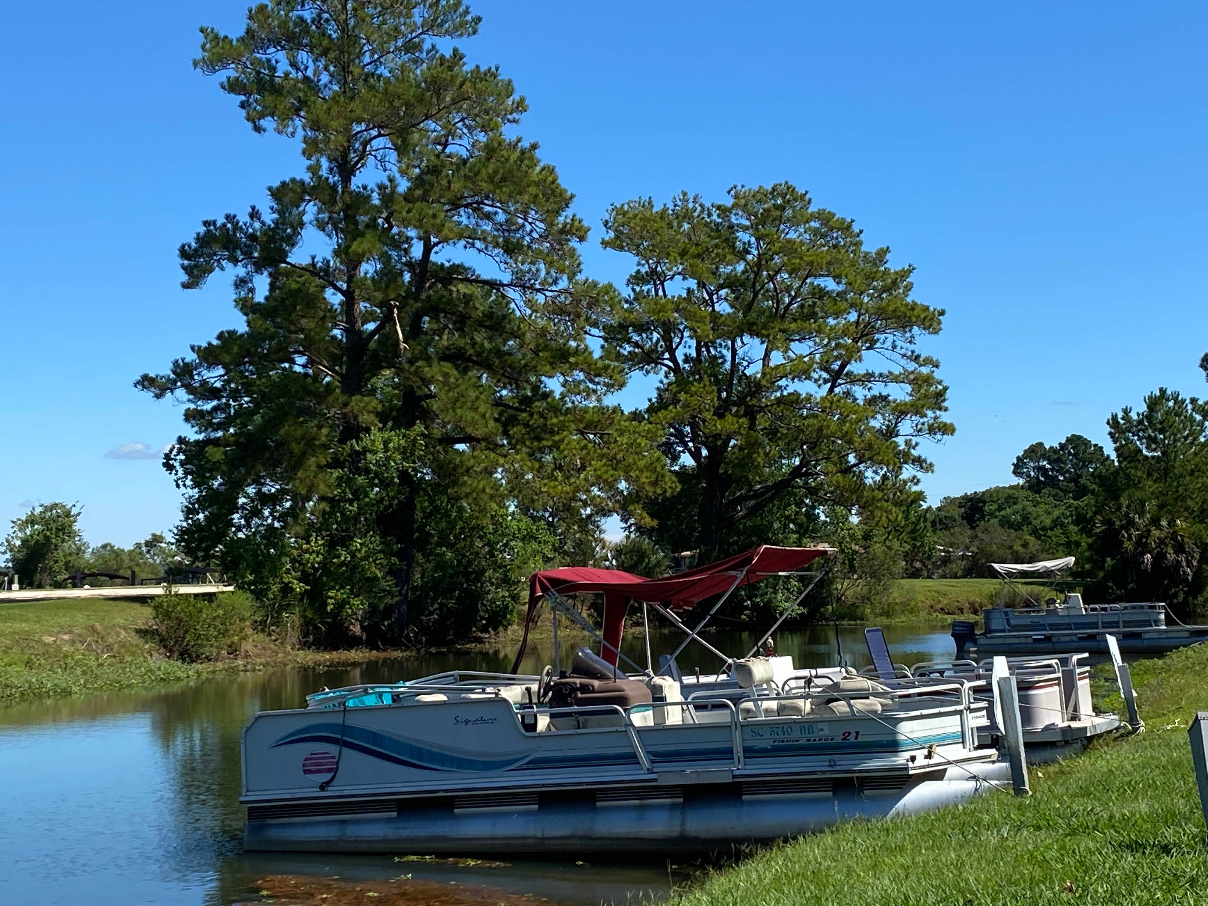 Camper submitted image from Rocks Pond Campground & Marina - 4
