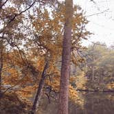 Review photo of Cub Lake Campground #1 — Natchez Trace State Park by S B., October 22, 2021