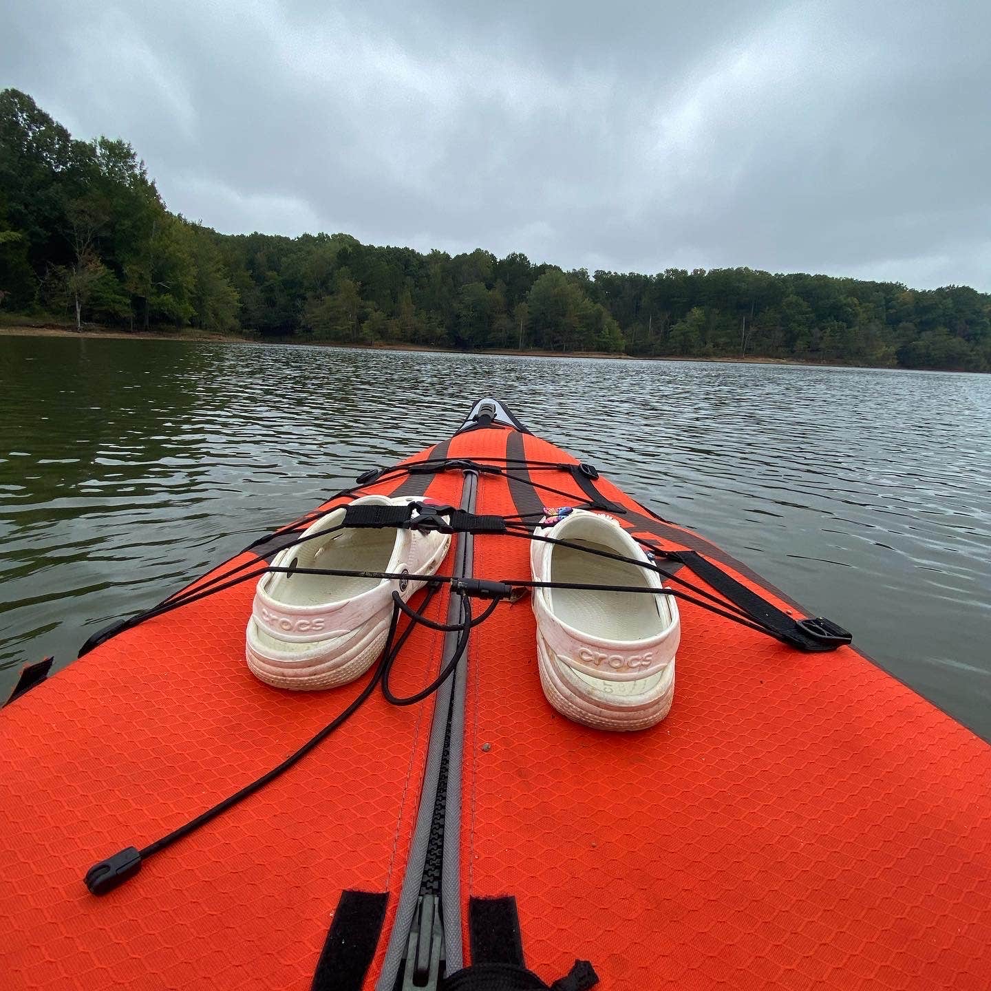 Camper submitted image from Longwood Park - 4