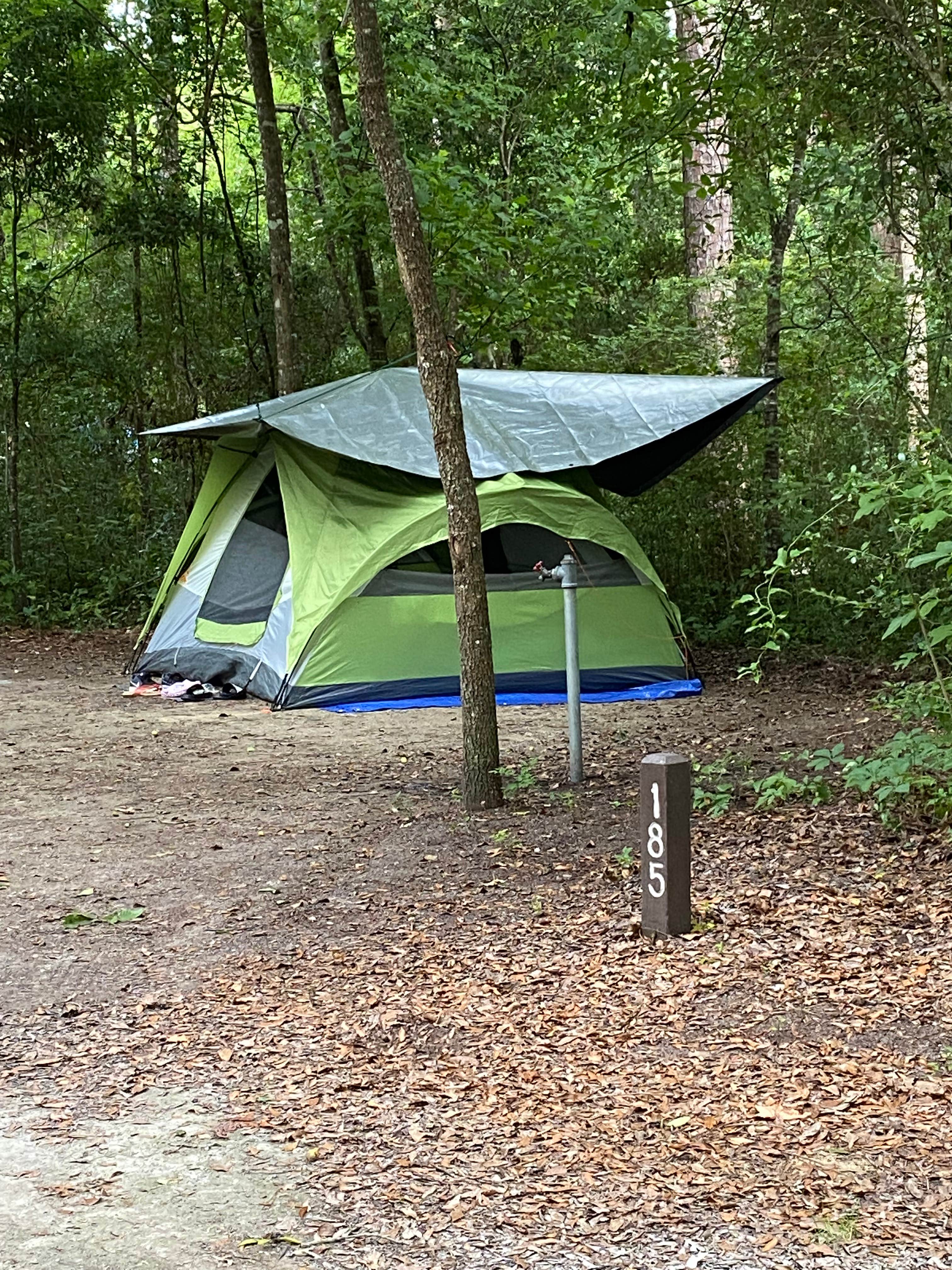 Stuart K.'s photo at Myrtle Beach State Park Campground near Little River, SC