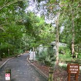 Review photo of Myrtle Beach State Park Campground by Stuart K., October 22, 2021