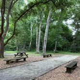 Review photo of Myrtle Beach State Park Campground by Stuart K., October 22, 2021