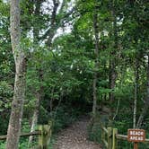 Review photo of Myrtle Beach State Park Campground by Stuart K., October 22, 2021