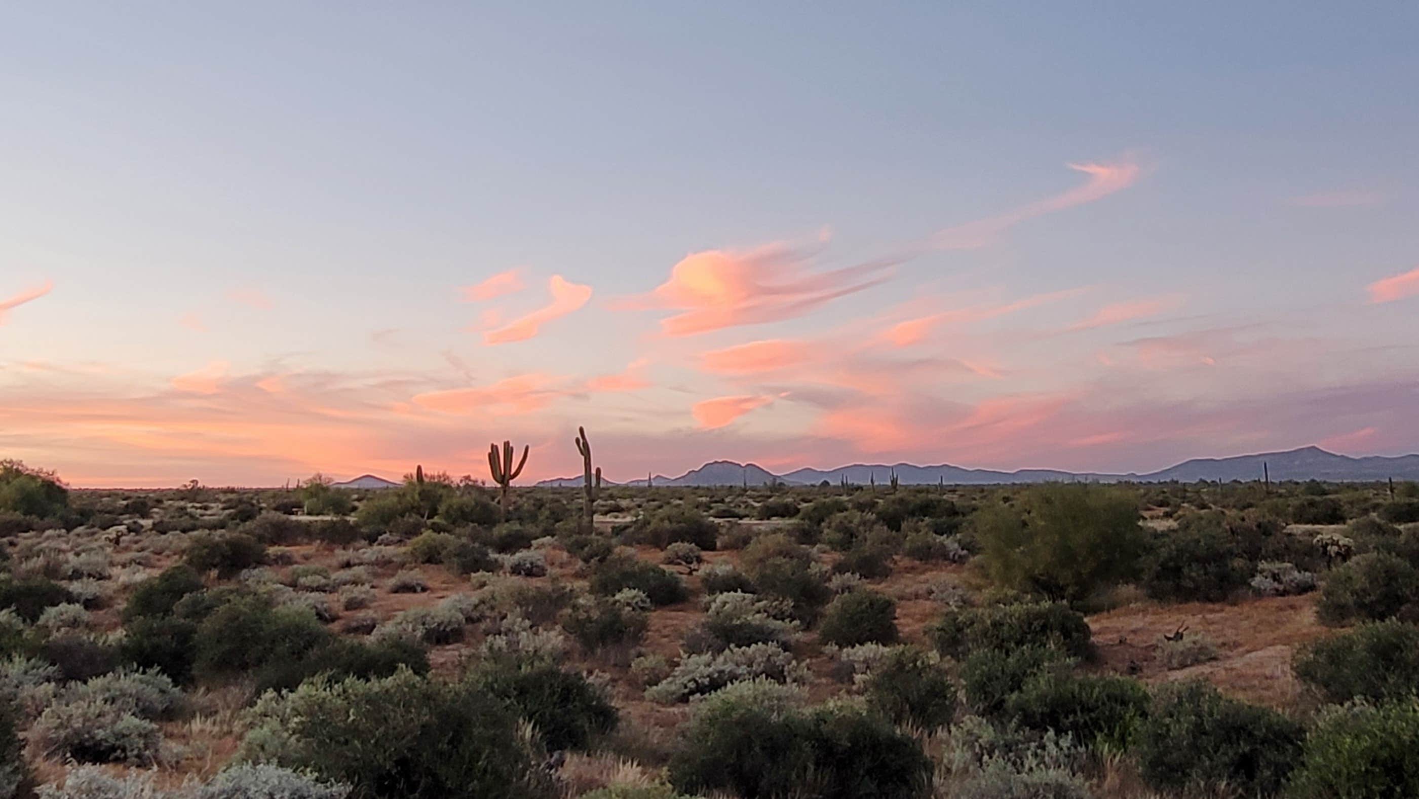 Kloee S.'s photo of a dispersed camping area at McDowell Mountain Regional Park near Mesa, AZ
