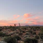 Review photo of McDowell Mountain Regional Park by Kloee S., October 22, 2021