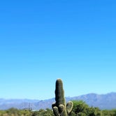 Review photo of McDowell Mountain Regional Park by Kloee S., October 22, 2021