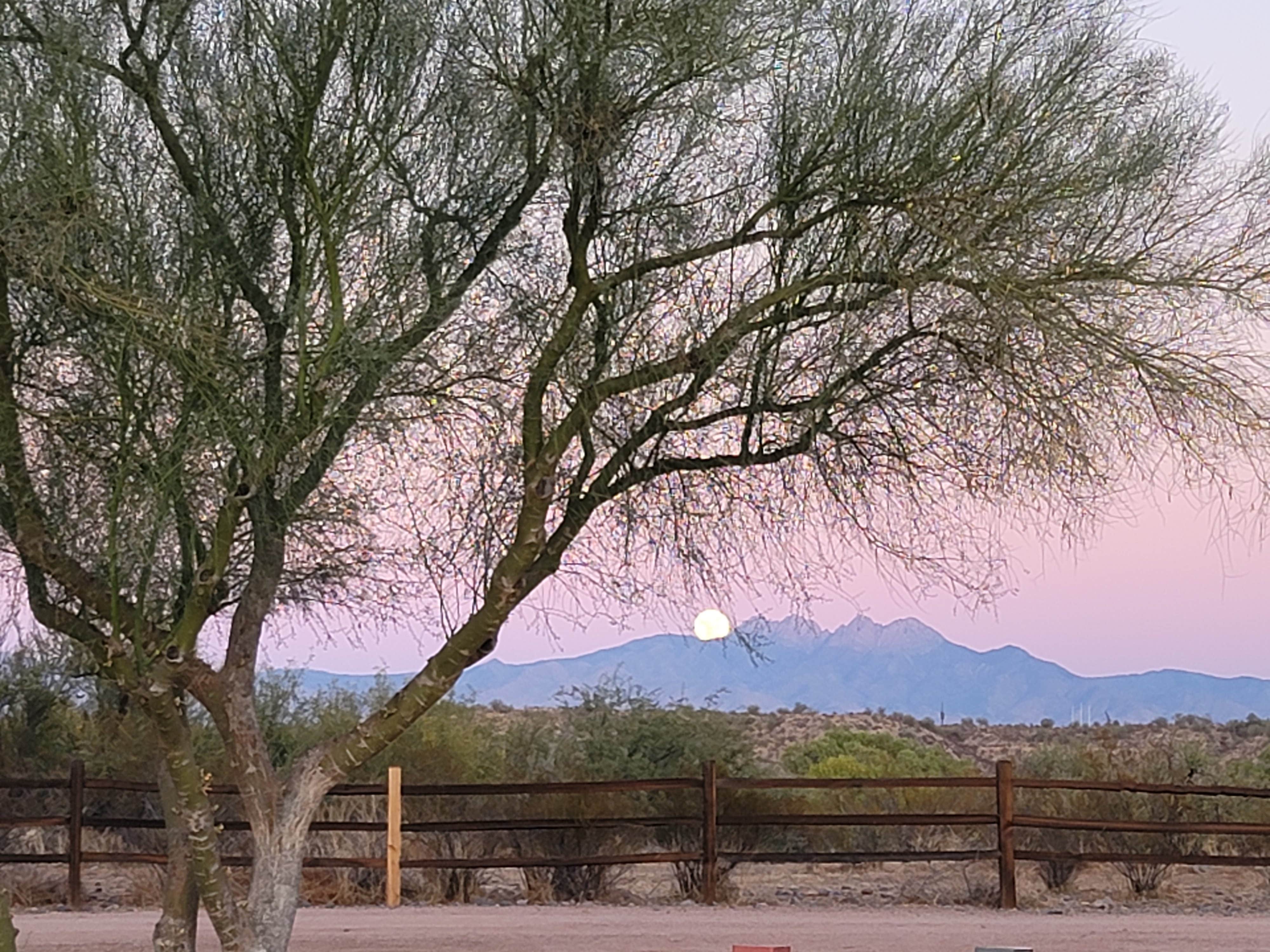 Camper submitted image from Eagle View RV Resort at Fort Mcdowell - 5