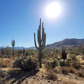Review photo of Eagle View RV Resort at Fort Mcdowell by Kloee S., October 22, 2021
