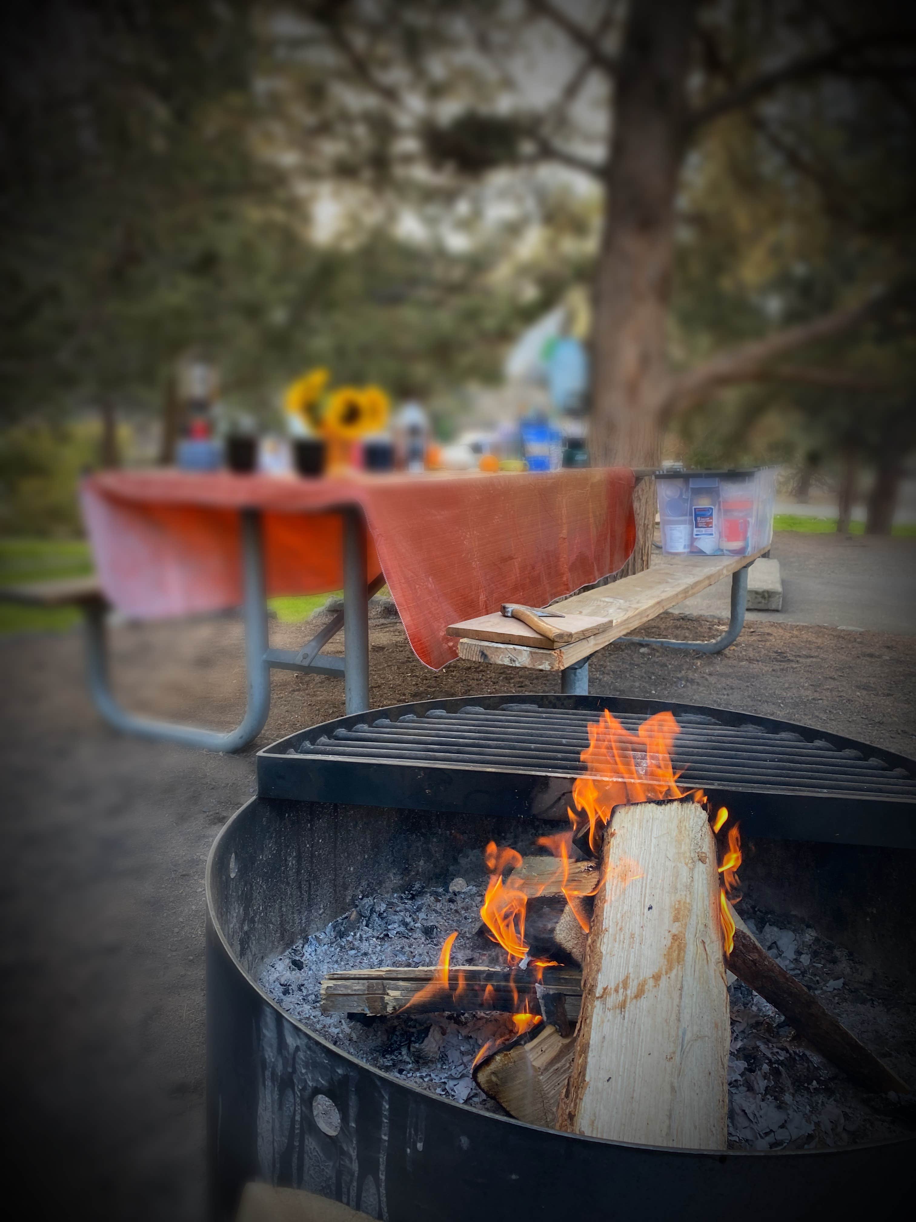 Camper submitted image from Tumalo State Park Campground - 1