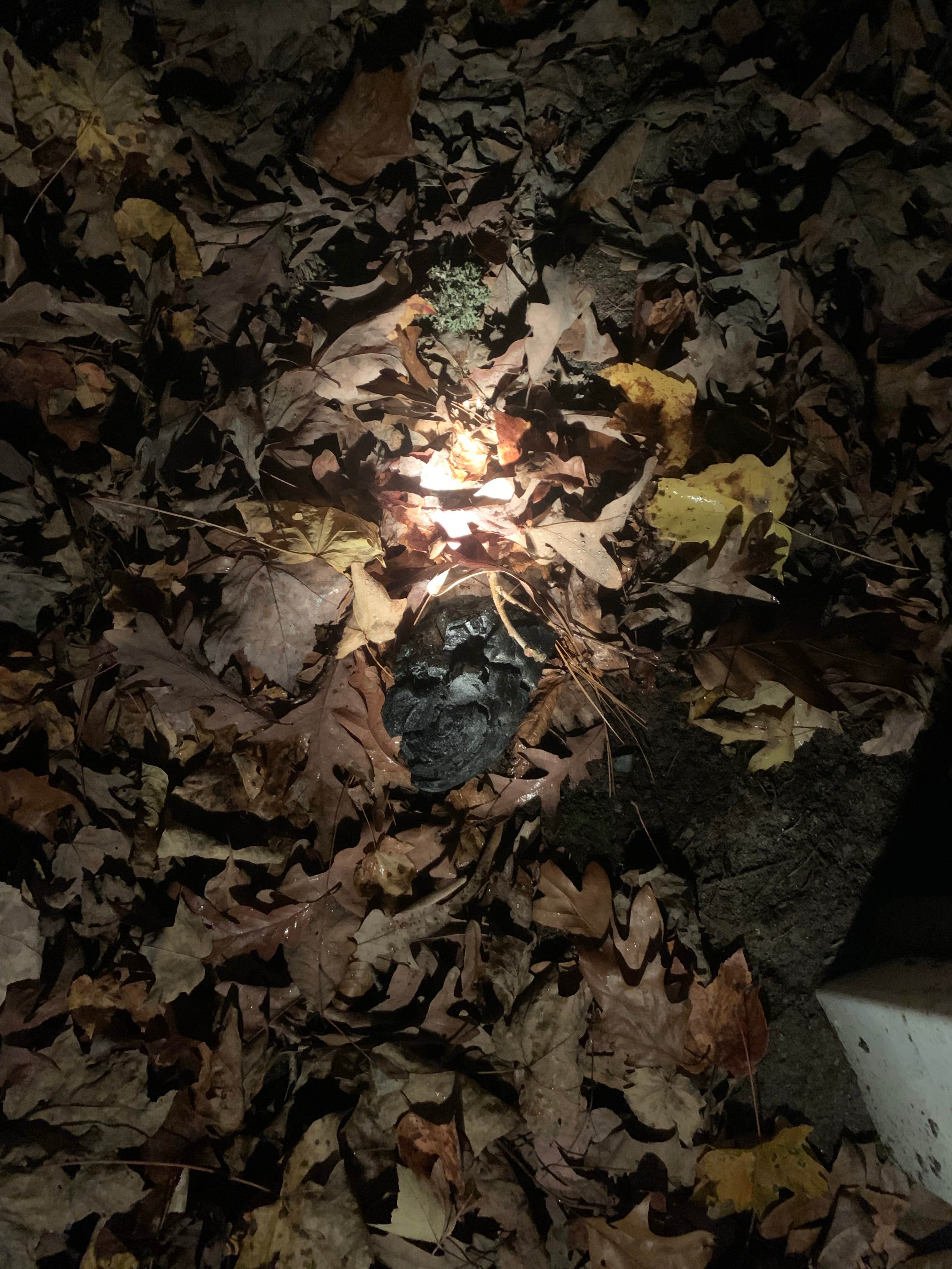 Camper-submitted photo at Kampfires near West Chesterfield, NH