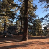 Review photo of Tool Box Springs Campground by Lindsey C., October 22, 2021