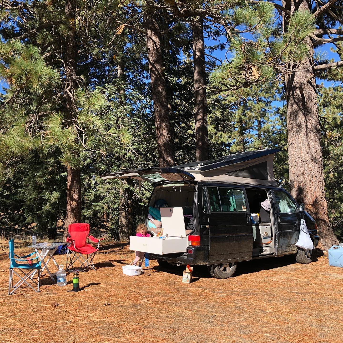 Camper submitted image from Tool Box Springs Campground - 3