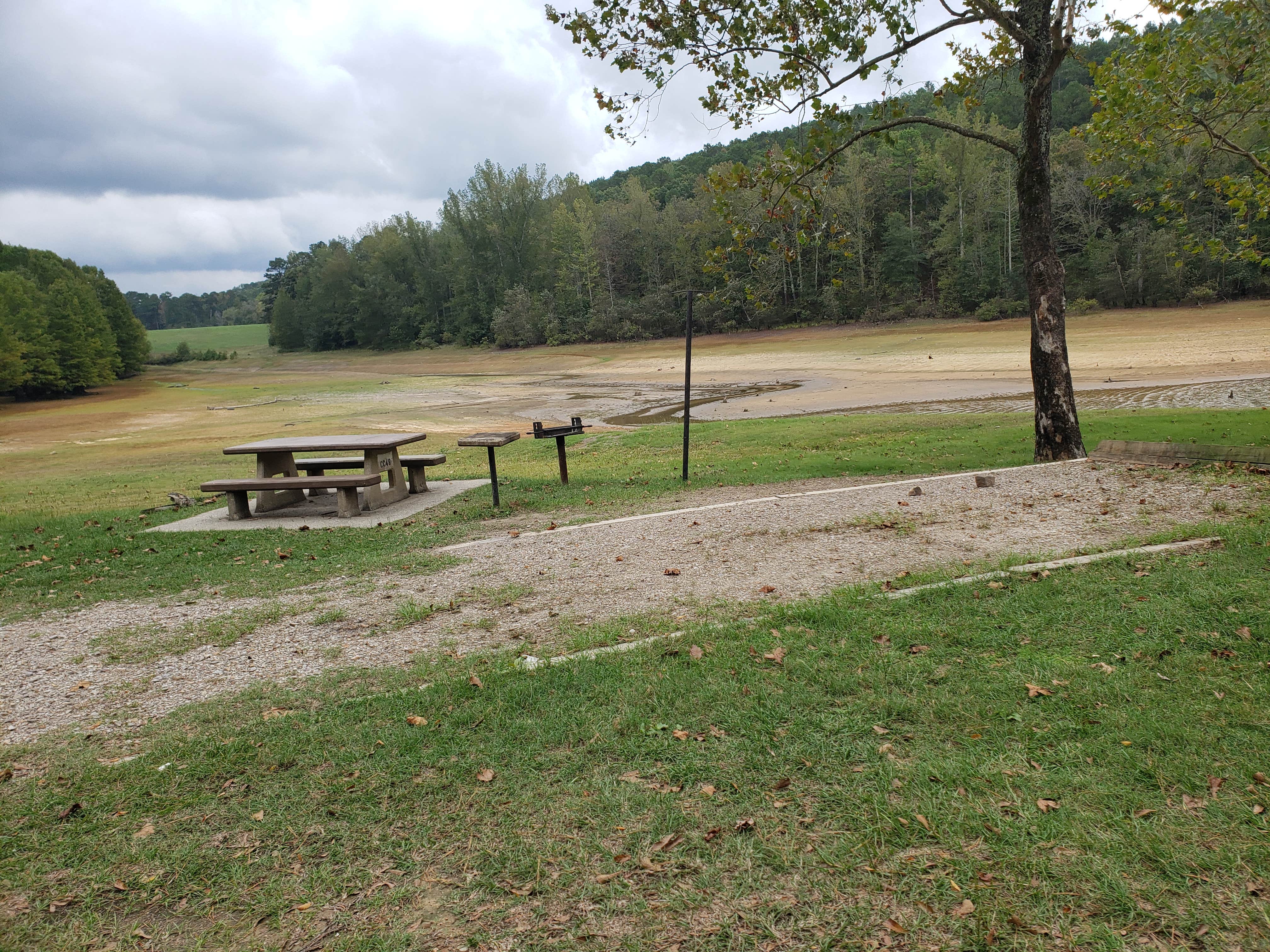 Camper submitted image from Cowhide Cove Campground - 2