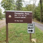 Review photo of Old Cowhide Cove Campground - COE Lake Greeson by Dexter I., October 22, 2021