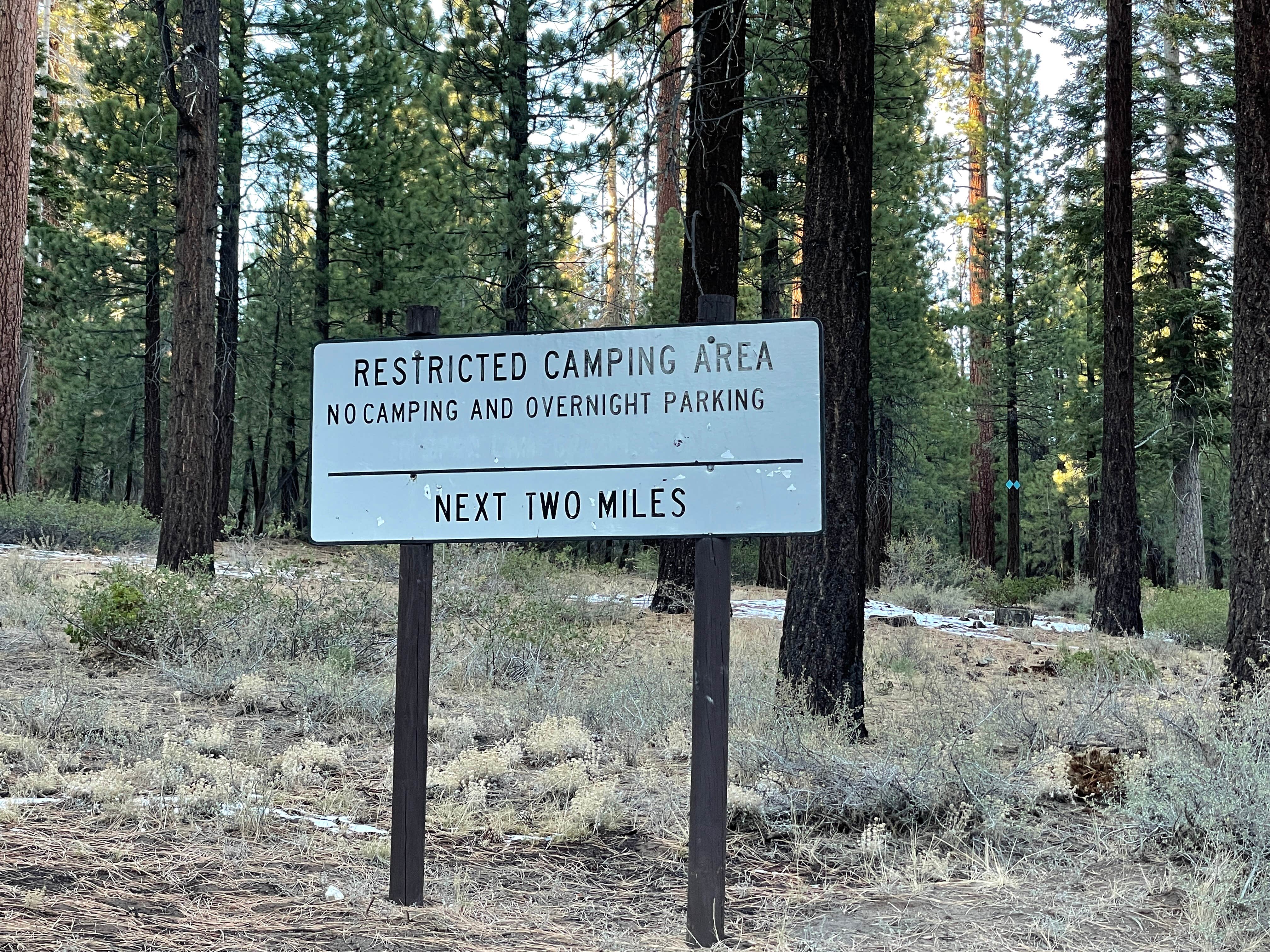 Camping near Scenic Loop Dispersed Camping - Eastside: Sawmill cut off, Mammoth Lakes, California