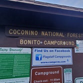 Review photo of Bonito Campground — Sunset Crater National Monument by Cathy C., October 22, 2021