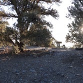 Review photo of Mahogany Flat Primitive Campground — Death Valley National Park by Paul D., October 22, 2021