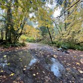 Review photo of Dispersed Camping NF 2918 — Olympic National Park by Grayson , October 22, 2021