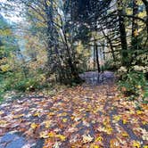 Review photo of Dispersed Camping NF 2918 — Olympic National Park by Grayson , October 22, 2021