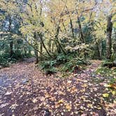 Review photo of Dispersed Camping NF 2918 — Olympic National Park by Grayson , October 22, 2021