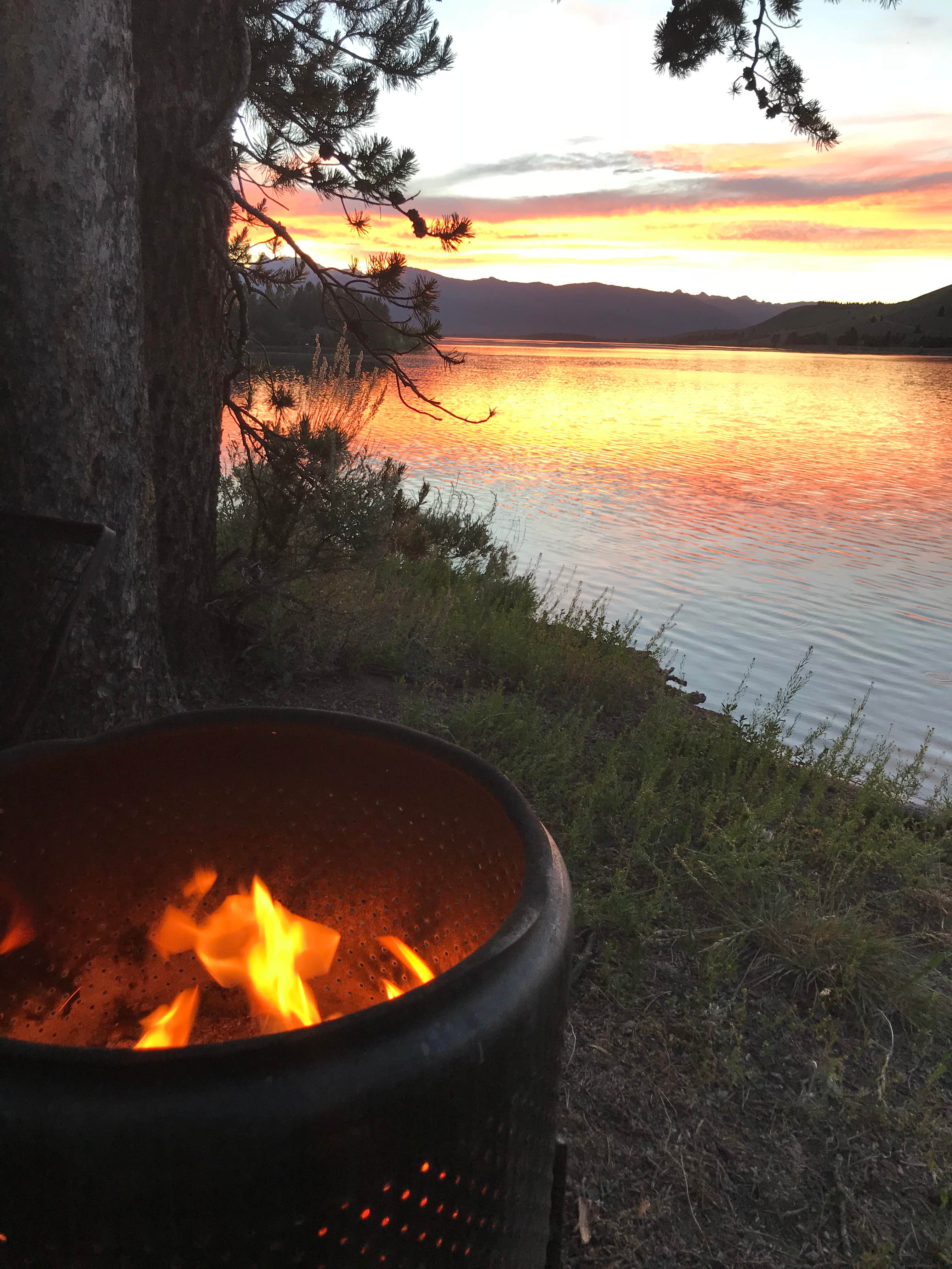 Camper submitted image from Madison Arm Resort - 4