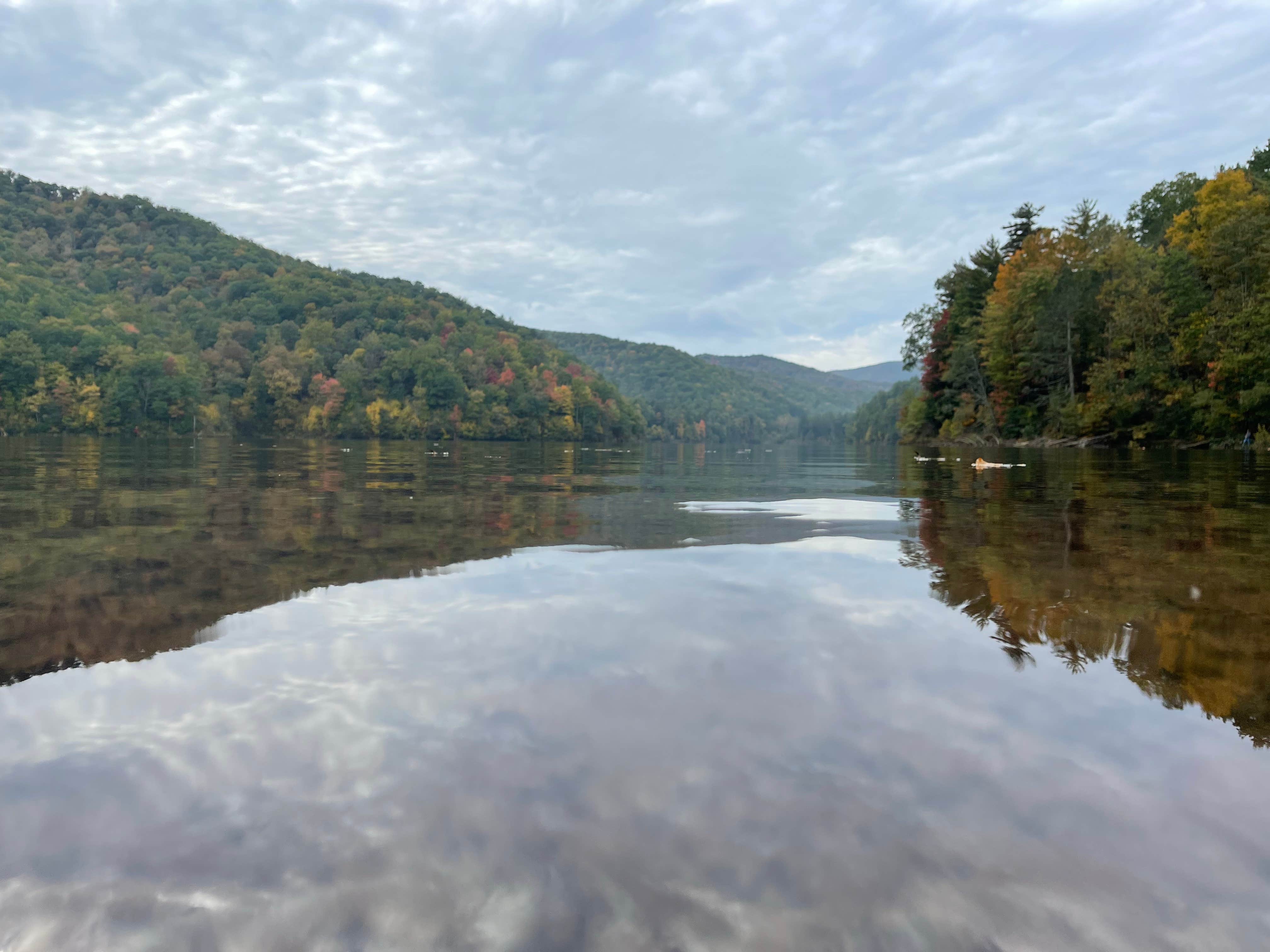 adrian F.'s photo of a dispersed camping area at Switzer Lake Dispersed Camping near Singers Glen, VA