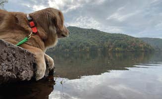 adrian F.'s photo of camping with pets at Switzer Lake Dispersed Camping near Brandywine, WV