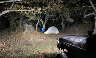 adrian F.'s photo of a dispersed camping area at Flagpole Knob near Ruckersville, VA