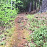 Review photo of Leonard Harrison State Park — Leonard Harrison State Park by Chelsea K., July 5, 2018