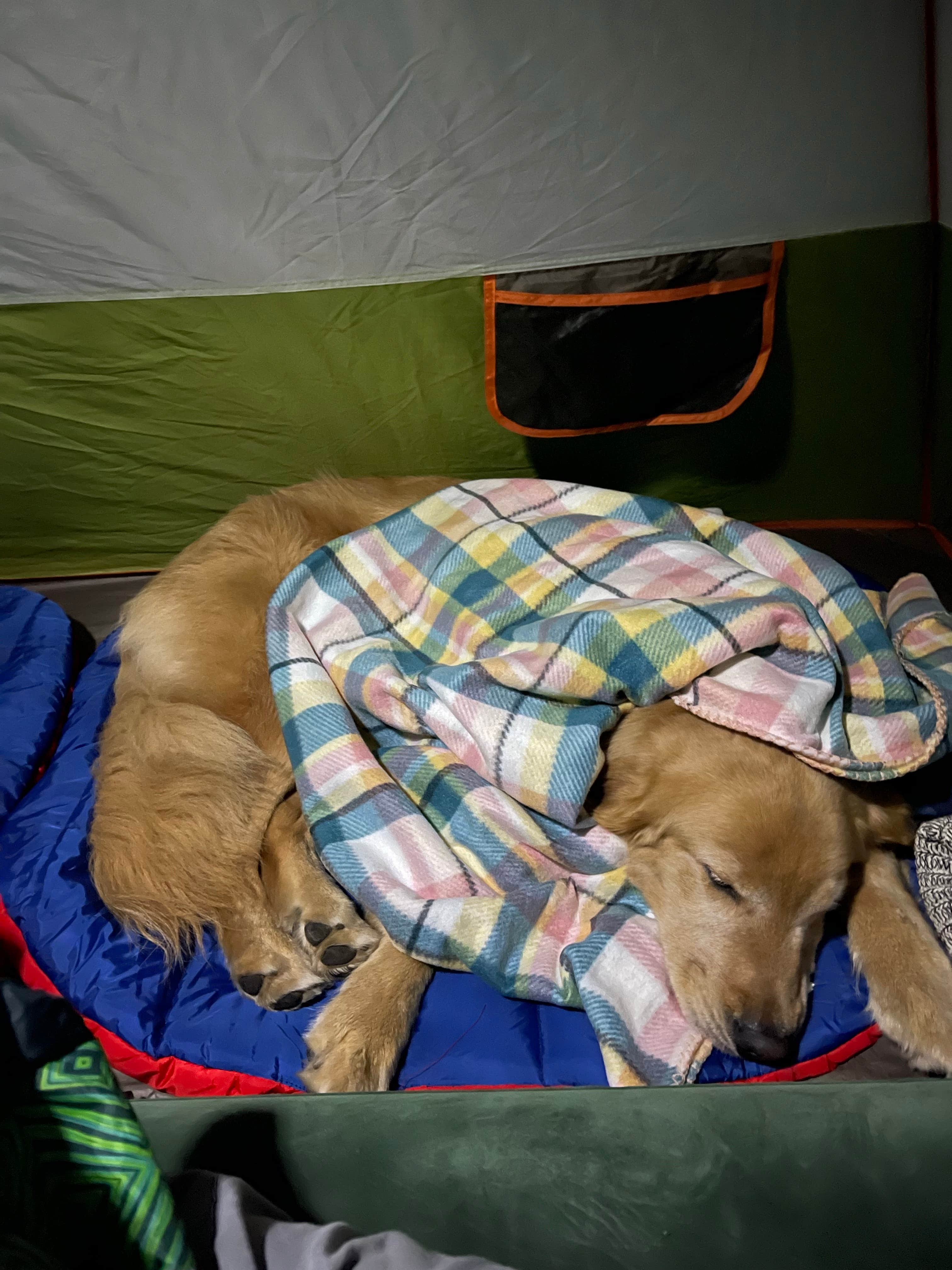 Camper submitted image from Flagpole Knob - 4