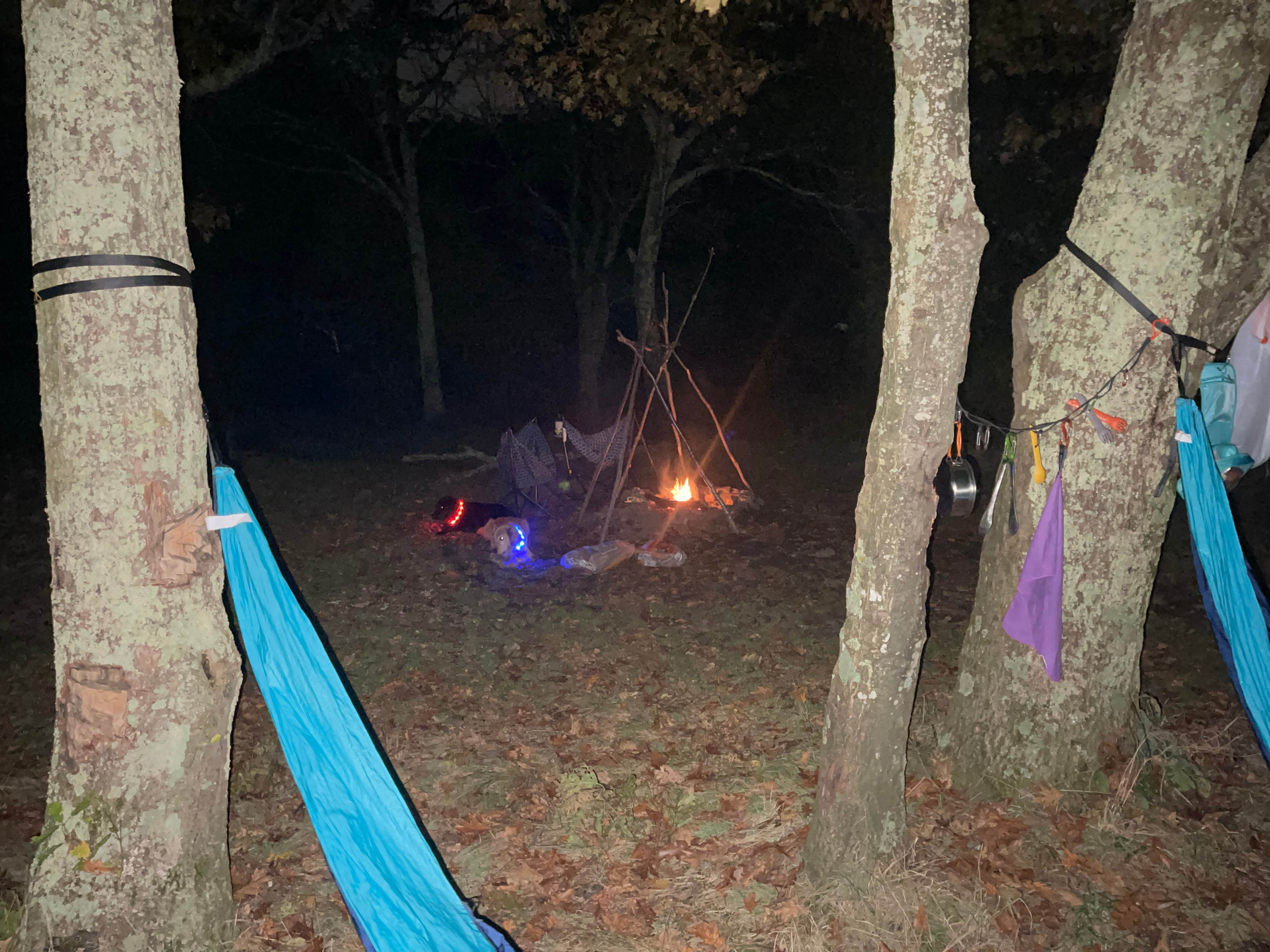 adrian F.'s photo at Flagpole Knob near Singers Glen, VA