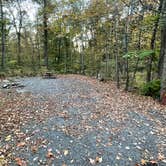 Review photo of New York City North-Newburgh KOA by Rick G., October 22, 2021