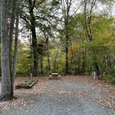 Review photo of New York City North-Newburgh KOA by Rick G., October 22, 2021