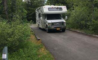 Delaine N.'s photo of rv camping at Williwaw Campground near Seward, AK