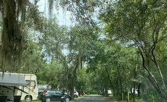 Stuart K.'s photo of rv camping at A Big Wheel RV Park near Jekyll Island, GA